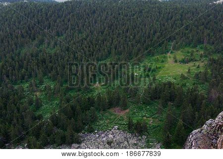 View From The Heights To The Forest And Forest Trails. Summer In The Mountains.view From The Mountai
