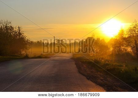 Rural road at dawn in the fog