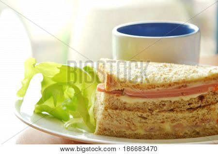 pork bologna whole wheat sandwich with fresh green oak and coffee on dish