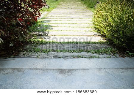 Summer Green Grass Step In Garden stock photo