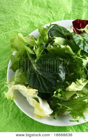 verse groene groene salade met tatsoi op de achtergrond van het Groenboek