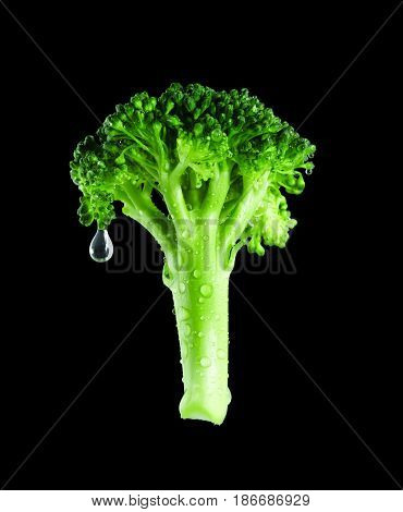 Fresh piece of Broccoli with water dripping on a black background
