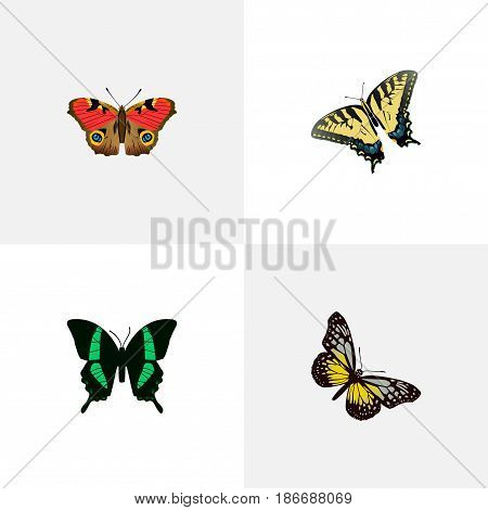 Realistic Checkerspot, Beauty Fly, American Painted Lady And Other Vector Elements. Set Of Butterfly Realistic Symbols Also Includes Fly, American, Swallowtail Objects.