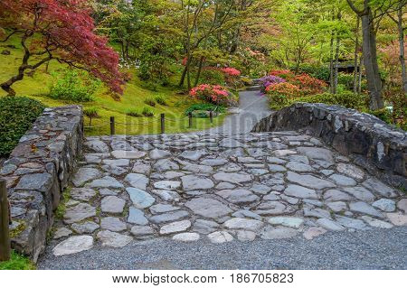 A rock bridge leads to Spring flowers in Seattle Washington. HDR image.