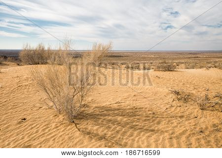 Sand dunes in the Kyzylkum Desert Uzbekistan
