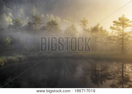 bog lake in morning fog romania, transylvania