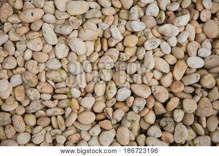 Texture of the bedrock on summer in thailand