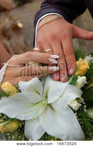 Recém casados. Mãos.