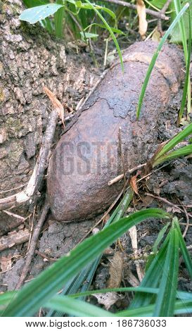 A bomb in the grass a natural photo in the forest a rusty shell of the war times