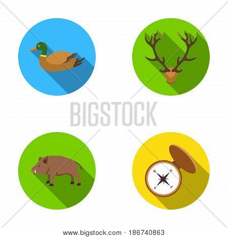 Duck, deer antlers, compass, wild boar.Hunting set collection icons in flat style vector symbol stock illustration .