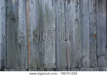 Wall from old boards on a farm