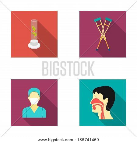Plant in vitro, crutches, nurse, human respiratory system. Medicine set collection icons in flat style vector symbol stock illustration .