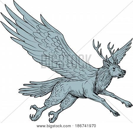 Drawing sketch style illustration of a Peryton a Medieval European mythical creature with head forelegs and antlers of a full-grown stag with the wings plumage and hindquarters of a bird flying viewed from the side set on isolated white background.