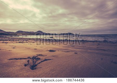 Sunset over Ballingskelligs Bay Beach, Waterville, County Kerry, Ireland