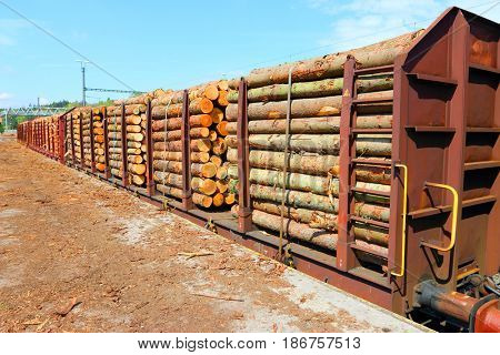 Timber on the freight train. Transportation and sustainable development theme.