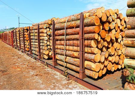Timber on the freight train. Transportation and sustainable development theme.