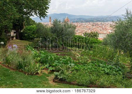 Giardino Bardini With View Over Florence, Italy