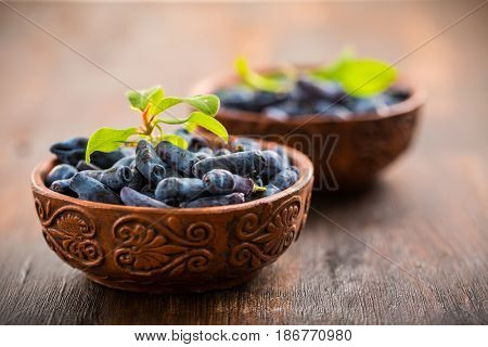 Freshly picked honeyberry or blueberry