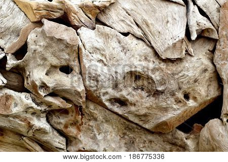 The natural background of a large brown tree stump.