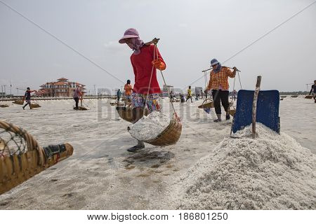PETCHABURI THAILAND - MARCH 23 : large number of worker harvesting stack of salt in salt farm Ban Leam district petchaburi province import salt produce area in central of thailand on march 23 2015 in petchaburi thailand