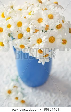 Delicate daisy flowers in a blue ceramic vase .