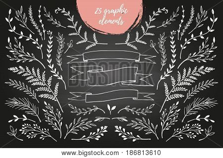 Hand Sketched Vector Vintage Elements ( Laurels, Frames, Leaves, Flowers, Swirls, Branches). Chalkbo