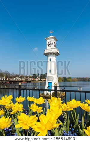 Yellow Tulips blooming in front of the Robert Scott Memorial Lighthouse at Roath Park Lake Cardiff Wales UK.