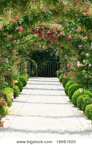 Rose Arch i trädgården
