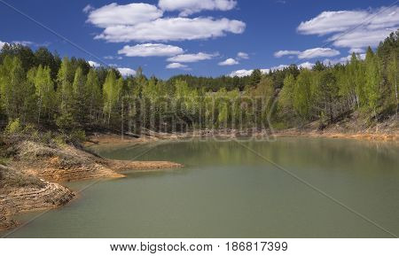 Spring Forest Around a Lake on Sunny Day. Fresh Green Leaves on Trees.