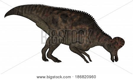 Corythosaurus dinosaur eating isolated in white background - 3D render