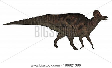 Corythosaurus dinosaur walking isolated in white background - 3D render