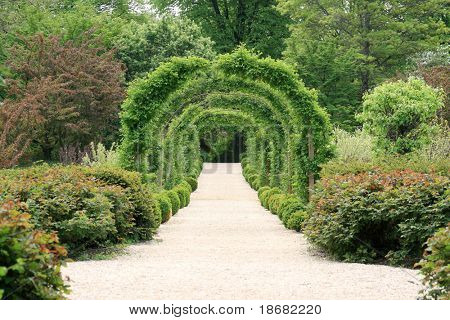 Rose Arch i trädgården