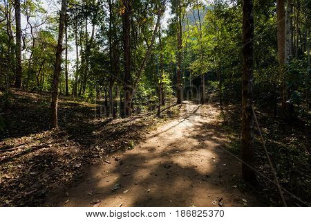 Forest In Mountain Soppong Village