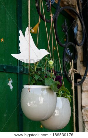 Pendant Pots With Flowers And Greens