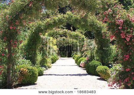 Rose Arch i trädgården