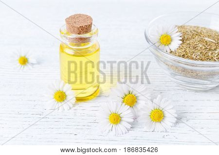 a bottle of chamomile oil with fresh and dried chamomile flowers, selective focus