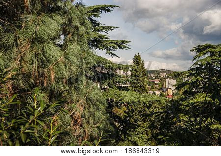View from the forest on the seaside town of Partenit in Crimea