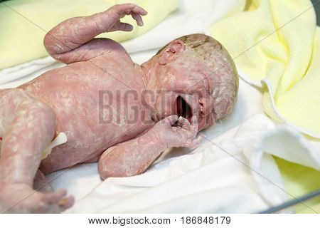 Newborn child seconds and minutes after birth. Cute tiny new born baby girl on towel. New life, beginning, healthcare.
