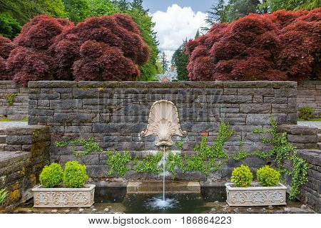 Dolphin head on rock stone wall water fountain with large red maple trees and plants in Renaissance Garden