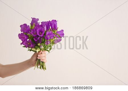 Beautiful bouquet of purple bellflowers in female hand on light background