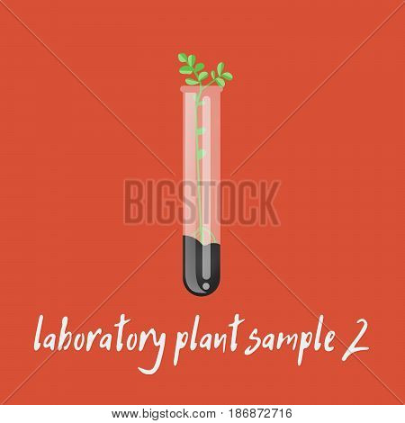 laboratory plant sample vector. Laboratory glassware with soil and plant. Flat design illustration on color background. - stock vector