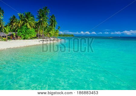 Tropical island in Fiji, palm trees and the sandy beach, Plantation Island