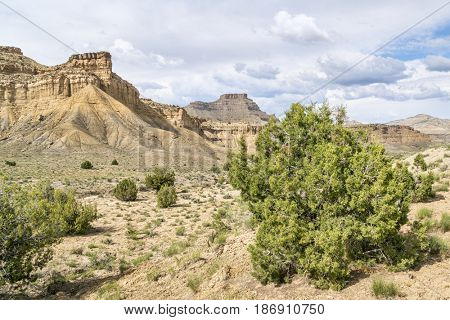 Book Cliffs - desert landscape of eastern Utah with a cliff, buttes and junipers