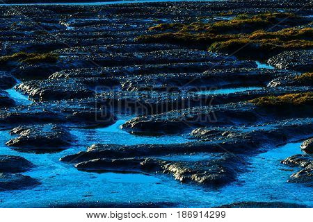 Patterns in bottom of tide flat at low tied - Anacortes WA
