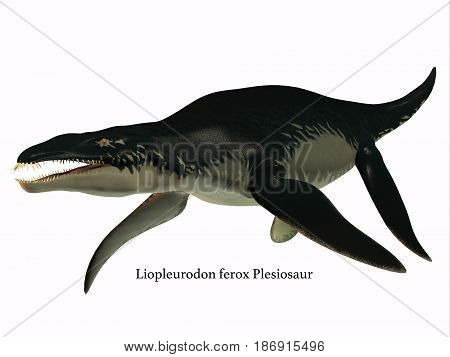 Liopleurodon Side Profile with Font 3d illustration - Liopleurodon was a carnivorous marine reptile that lived in Jurassic seas of France and England.