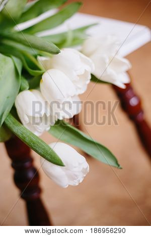 Tulips on color background. Tenderness and blurriness