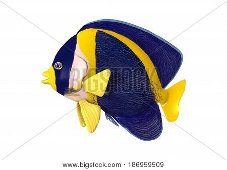 3D Rendering Scribbled Angelfish On White
