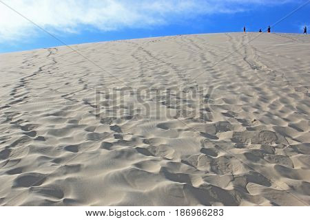 Sand dunes of the Dune du Pyla, France