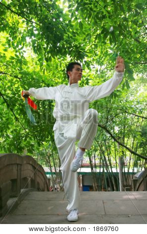 Çin Kongfu