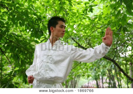 Çin Kongfu